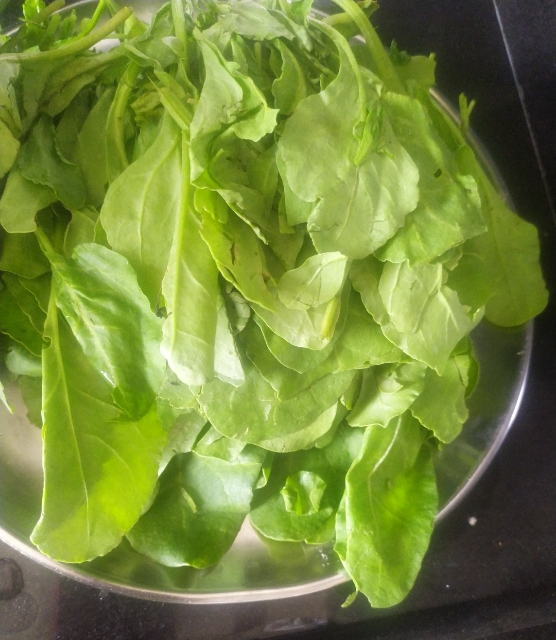 Palak Paneer