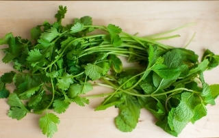 Mint and coriander leaves