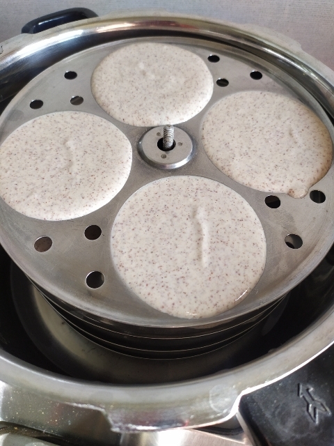 idli batter in mould