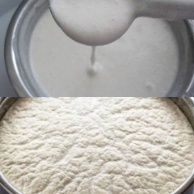 Fermenting Idli batter