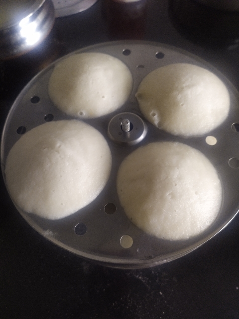 Idli mould